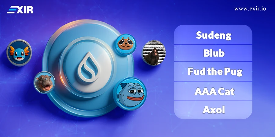 بررسی دقیق بهترین میم‌کوین‌های سویی در سال 2025