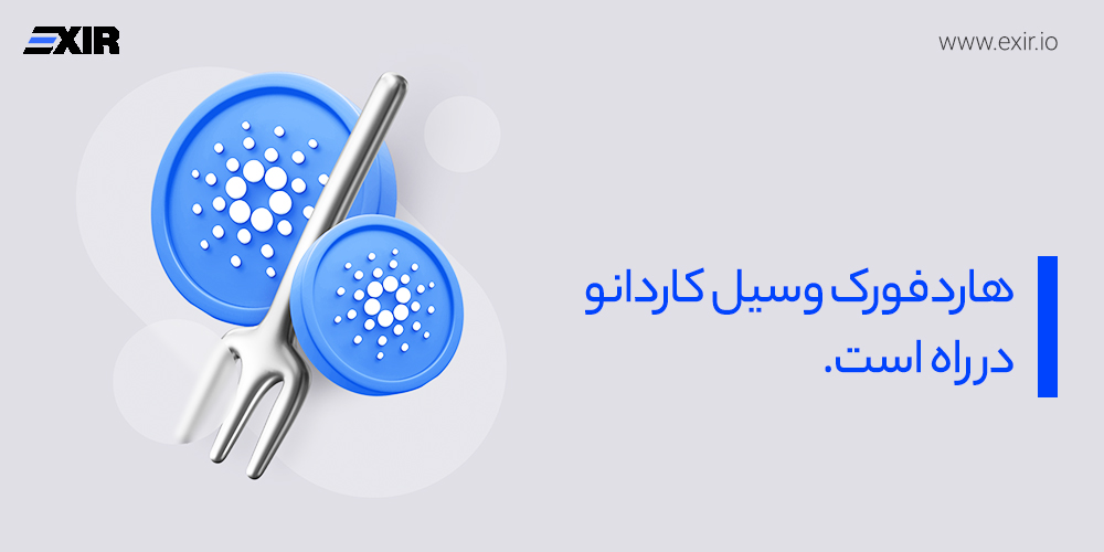 هاردفورک واسیل کاردانو ۳۱ شهریور (22 سپتامبر) انجام می‌شود؟!