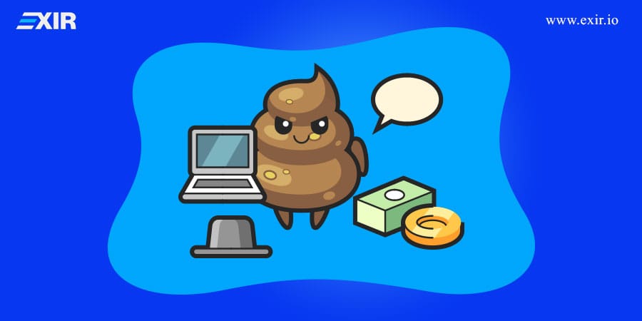 ماهیت و تاریخ آغاز شتکوینها