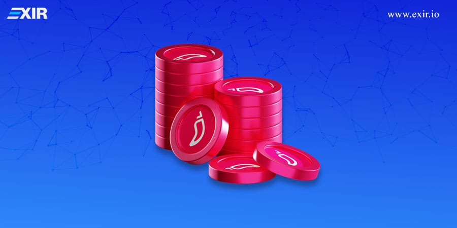 بنیانگذاران چیلیز چه کسانی هستند؟