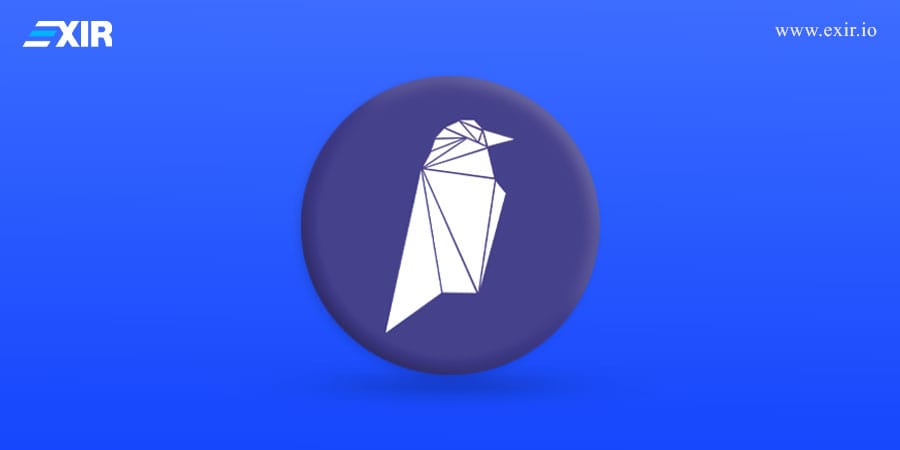 ریون کوین (RVN) چیست؟