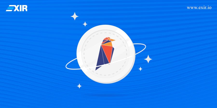 چگونه ریون کوین را نگهداری کنیم؟