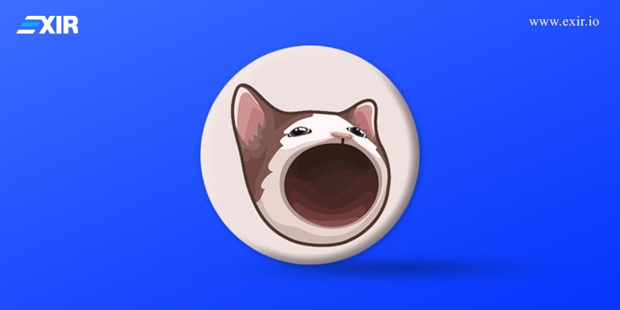 چه عواملی بر قیمت پاپ کت (POPCAT) تاثیر می گذارد؟