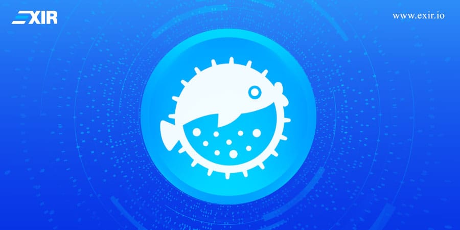 PUFFER و اکوسیستم UniFi چیست؟