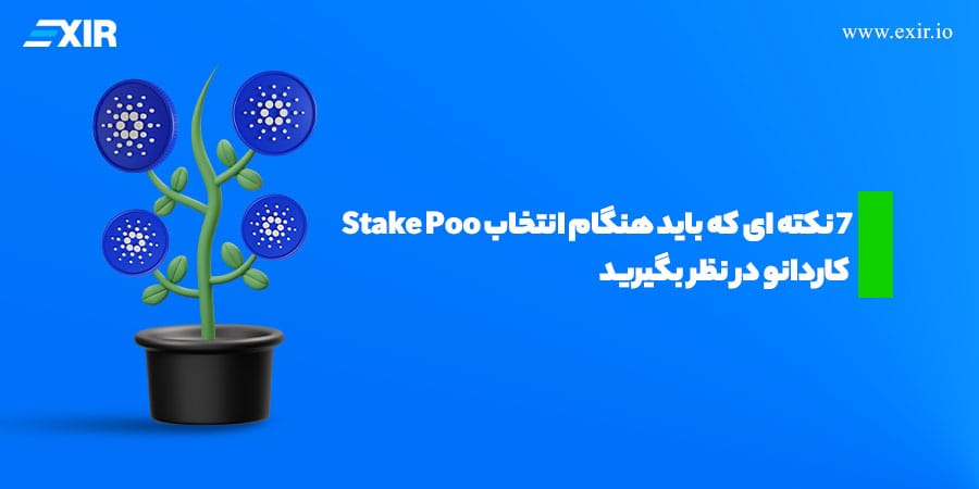 7 نکته هنگام انتخاب استخر استیکینگ کاردانو