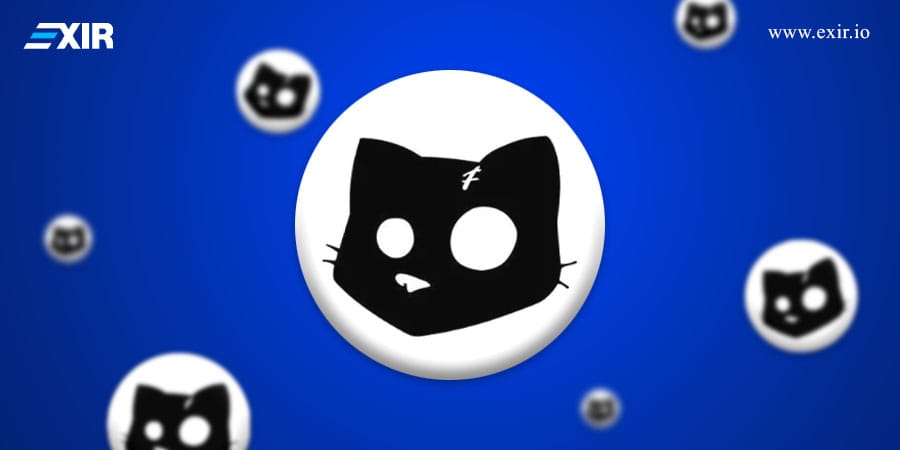 آیا Cats سرمایهگذاری خوبی است؟