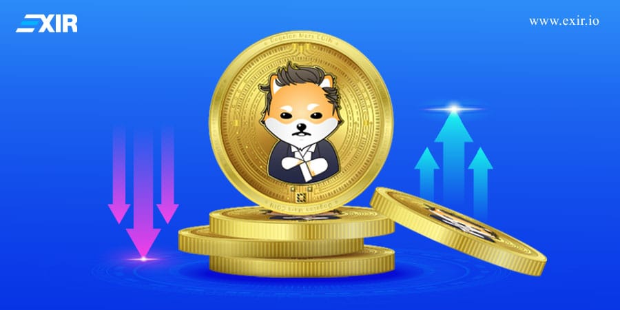 چه عواملی بر قیمت ارز دیجیتال Elon تأثیر میگذارد؟