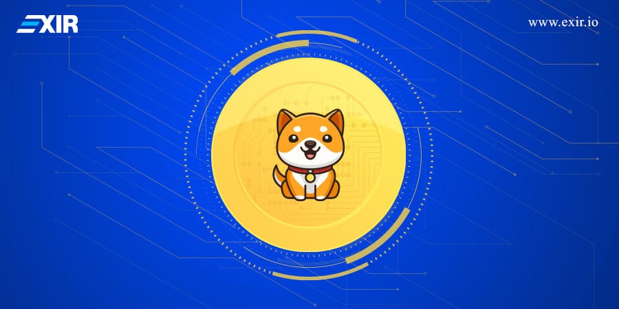 ارز بیبی دوج (BABY DOGE) چیست؟
