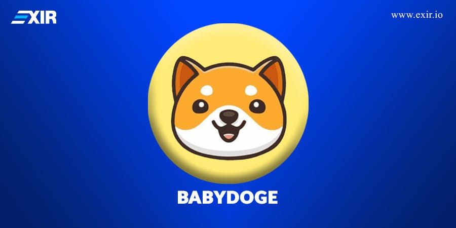 فروش و خرید بیبی دوج babydoge