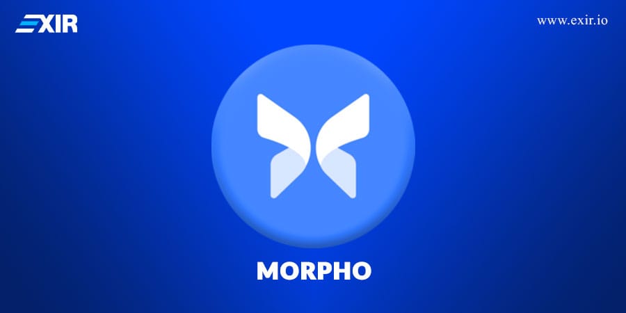 Morpho چیست؟ آشنایی با توکن و کاربردهای آن