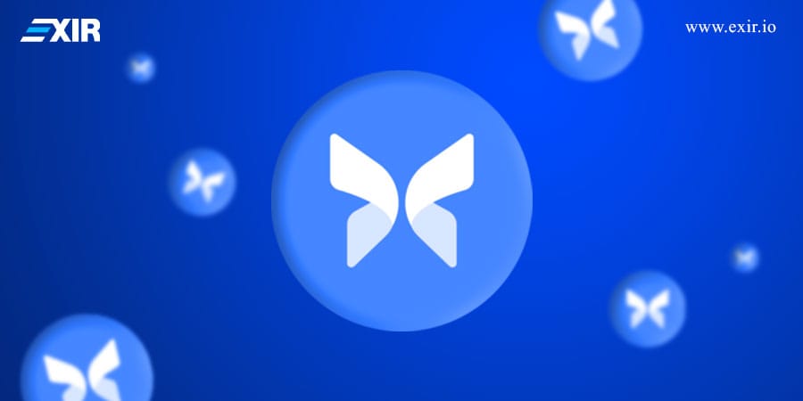 چه چیزی Morpho را از سایر رمزارزها متمایز میکند؟