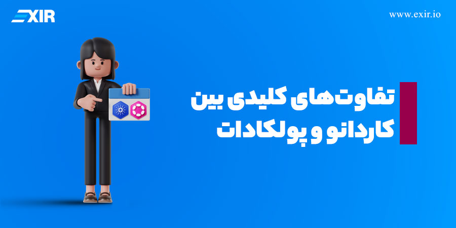 تفاوتهای کلیدی بین کاردانو و پولکادات