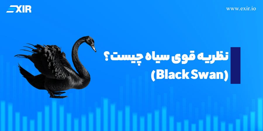 نظریه قوی سیاه (Black Swan) چیست و چطور از سرمایه‌مان در برابر آن محافظت کنیم؟