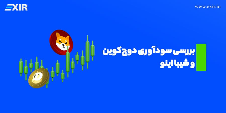 دوج کوین یا شیبا اینو؛ مقایسه دو میم‌کوین محبوب برای سرمایه‌گذاری