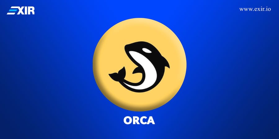 نحوه عملکرد Orca چگونه است