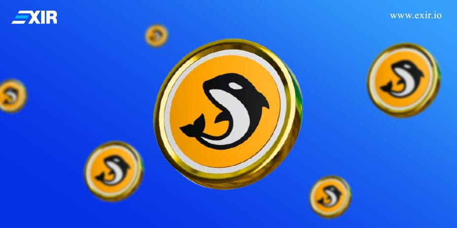 معرفی پلتفرم ارز دیجیتال Orca و ماموریت آن
