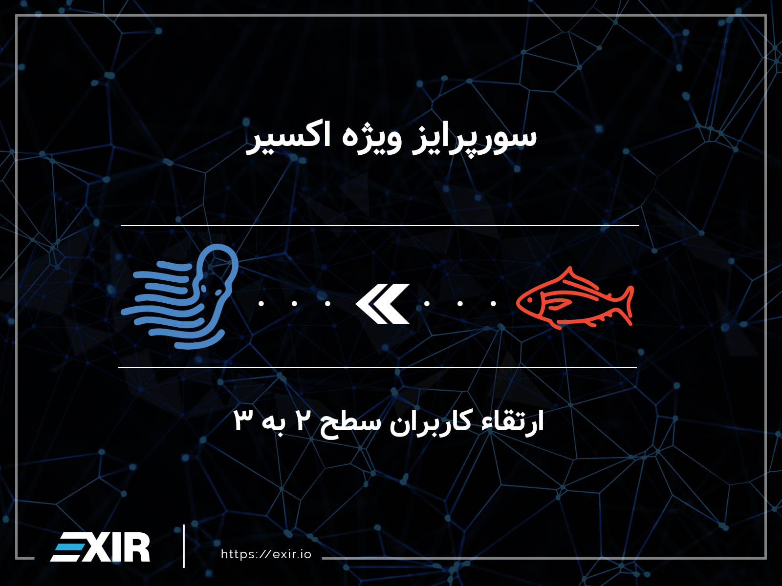 سورپرایز ویژه اکسیر