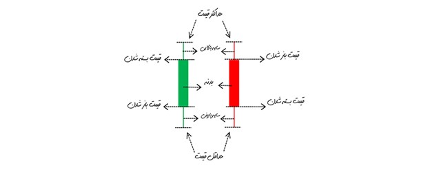 آناتومی کندل