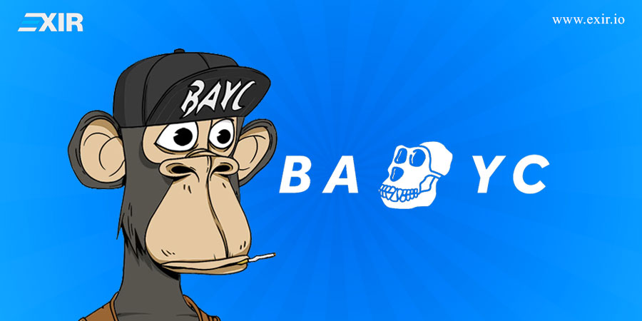 پروژه Bored Ape Yacht Club