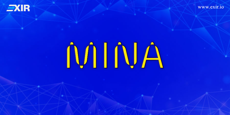 اعضای اصلی پروتکل مینا (Mina)