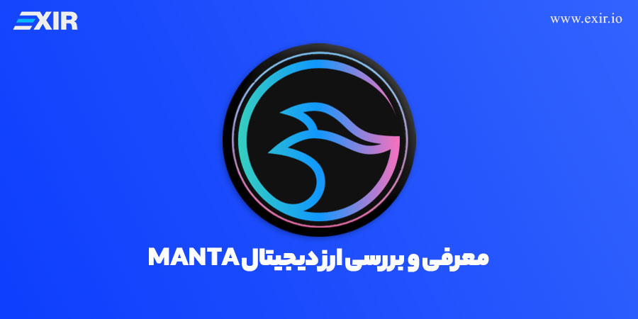 خرید ارز دیجیتال MANTA | بررسی ارز MANTA و شبکه Manta