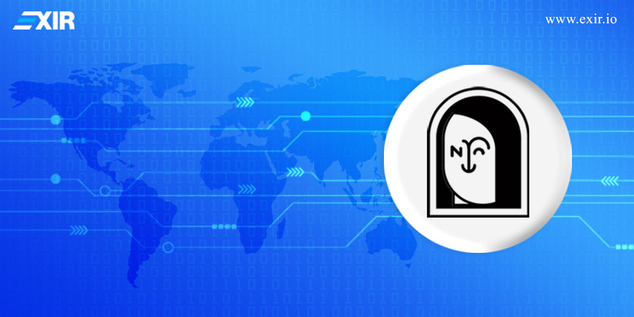 تفاوت NFT با ارز ApeNFT چیست؟