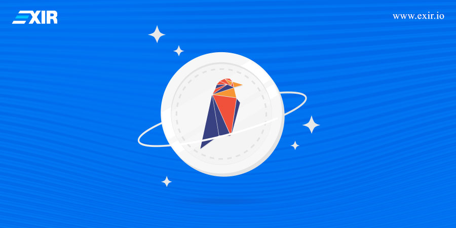 چگونه ریون کوین را نگهداری کنیم؟
