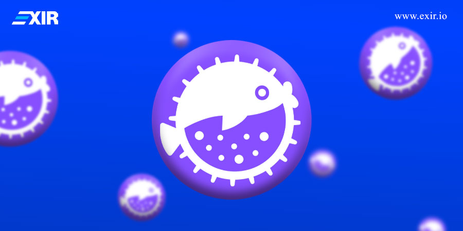 چه چیزی Puffer و UniFi را منحصر به فرد می‌کند؟