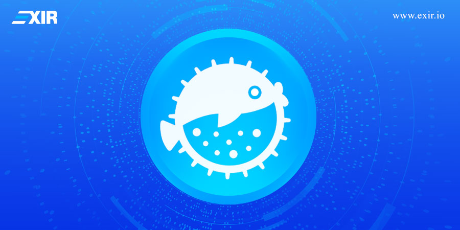 PUFFER و اکوسیستم UniFi چیست؟