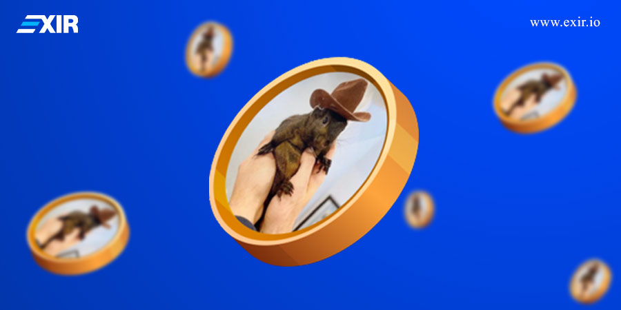 معرفی کیف پول ارز دیجیتال PNUT