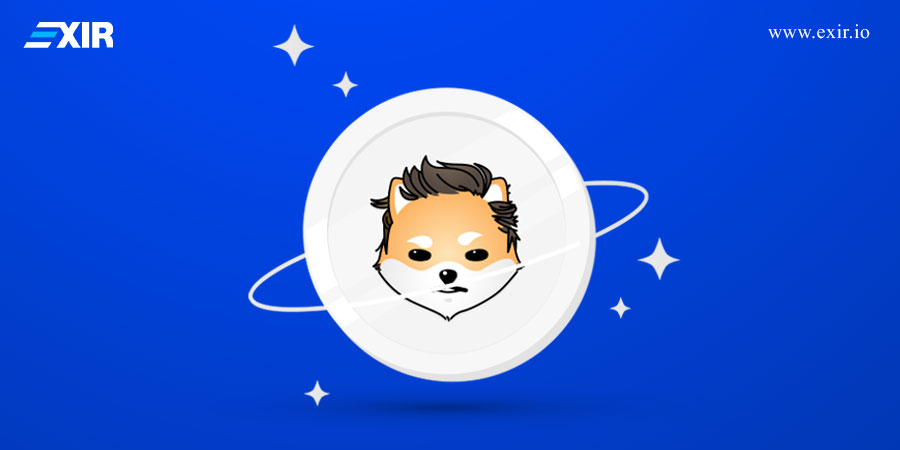 ارز دیجیتال (Dogelon Mars (ELON چیست؟