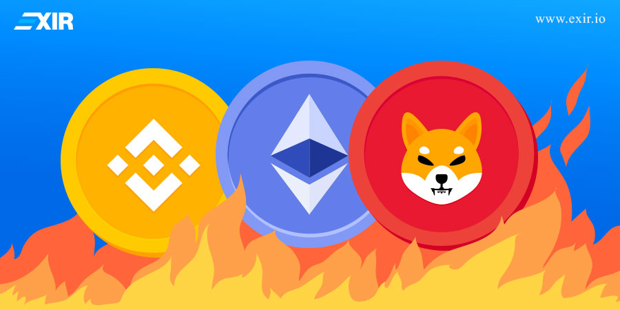 توکن سوزی Token Burning و تأثیر آن بر قیمت ارز‌های دیجیتال3