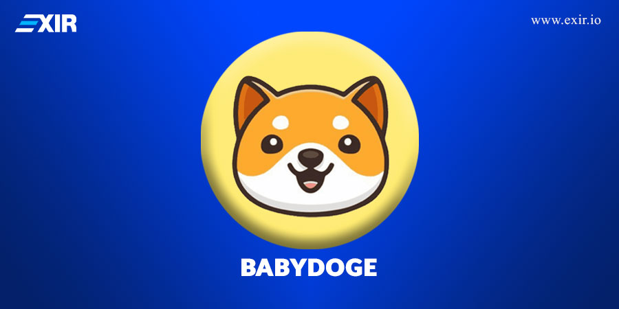 فروش و خرید بیبی دوج babydoge