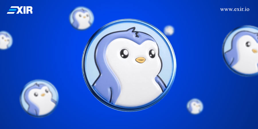 ارز دیجیتال پنگو چیست؟ معرفی توکن pengu