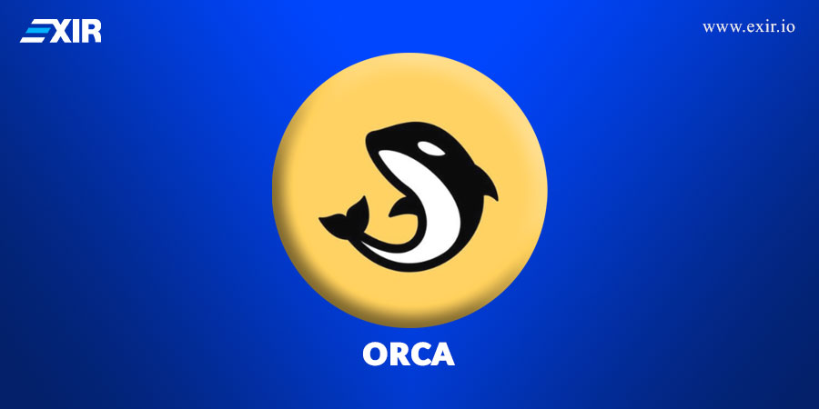 نحوه عملکرد Orca چگونه است