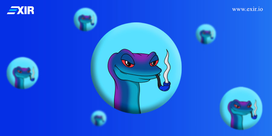 آیا Snek پتانسیل تبدیل‌شدن به شیبا بعدی را دارد؟