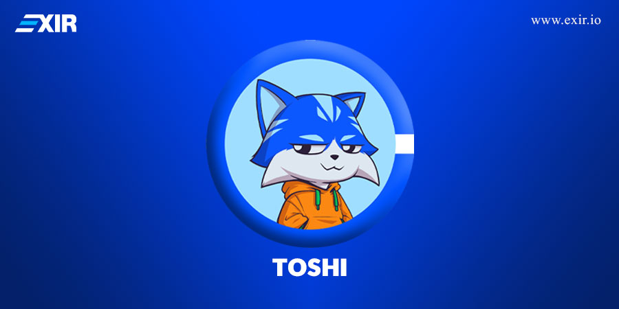 اکوسیستم TOSHI و برنامه‌های آینده