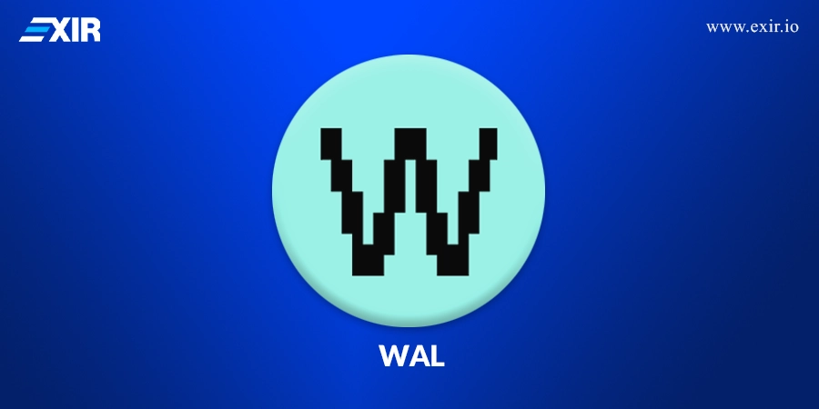 خرید ارز دیجیتال والروس در صرافی اکسیر