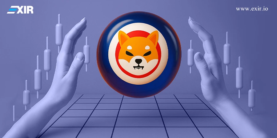 چگونه از نوسانات قیمت شیبا اینو و دوجکوین سود بگیریم؟ 2 چگونه از نوسانات قیمت شیبا اینو و دوجکوین سود بگیریم؟