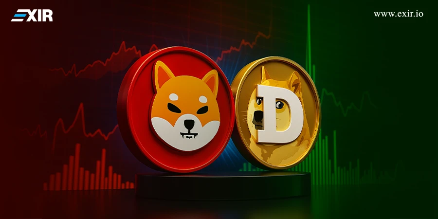 چگونه از نوسانات قیمت شیبا اینو و دوجکوین سود بگیریم؟ 1 چگونه از نوسانات قیمت شیبا اینو و دوجکوین سود بگیریم؟