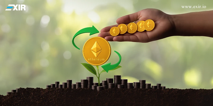 ری استیکینگ (Re Staking) چیست؟ کسب سود مرکب از داراییهای قفلشده 2 نقش سرمایهگذاری مجدد (ری استیکینگ) برای سود بیشتر