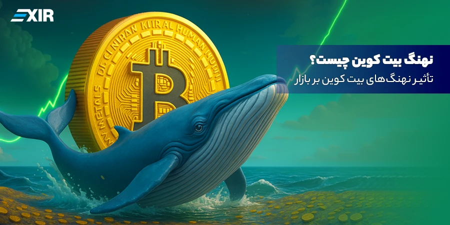 نهنگ بیت کوین (Bitcoin Whale) کیست؟ ردپای غول‌ها را در بازار دنبال کنید