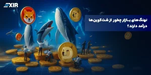 چطور نهنگ‌های بازار از شت‌کوین‌ها پول درمی‌آورند؟