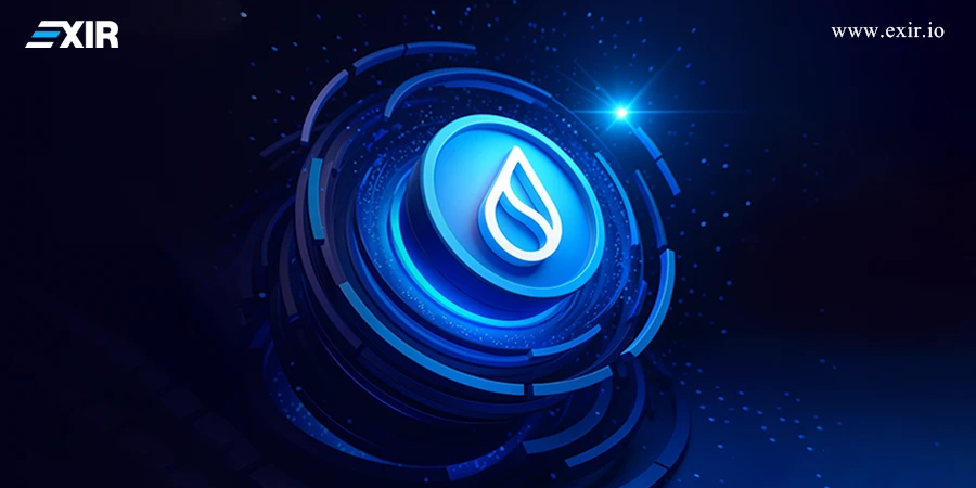 راهنمای گام به گام خرید میم کوین های شبکه سویی