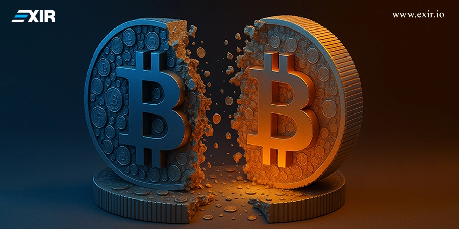 به غیر از بیت کوین، چه رمزارزهایی هاوینگ دارند؟ 1 چه ارزهای دیجیتالی هاوینگ دارند؟ 2